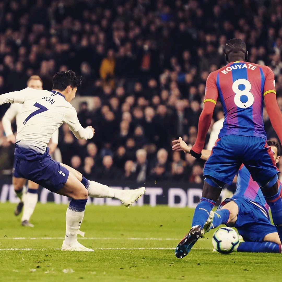 种文化瑰宝 种文化瑰宝